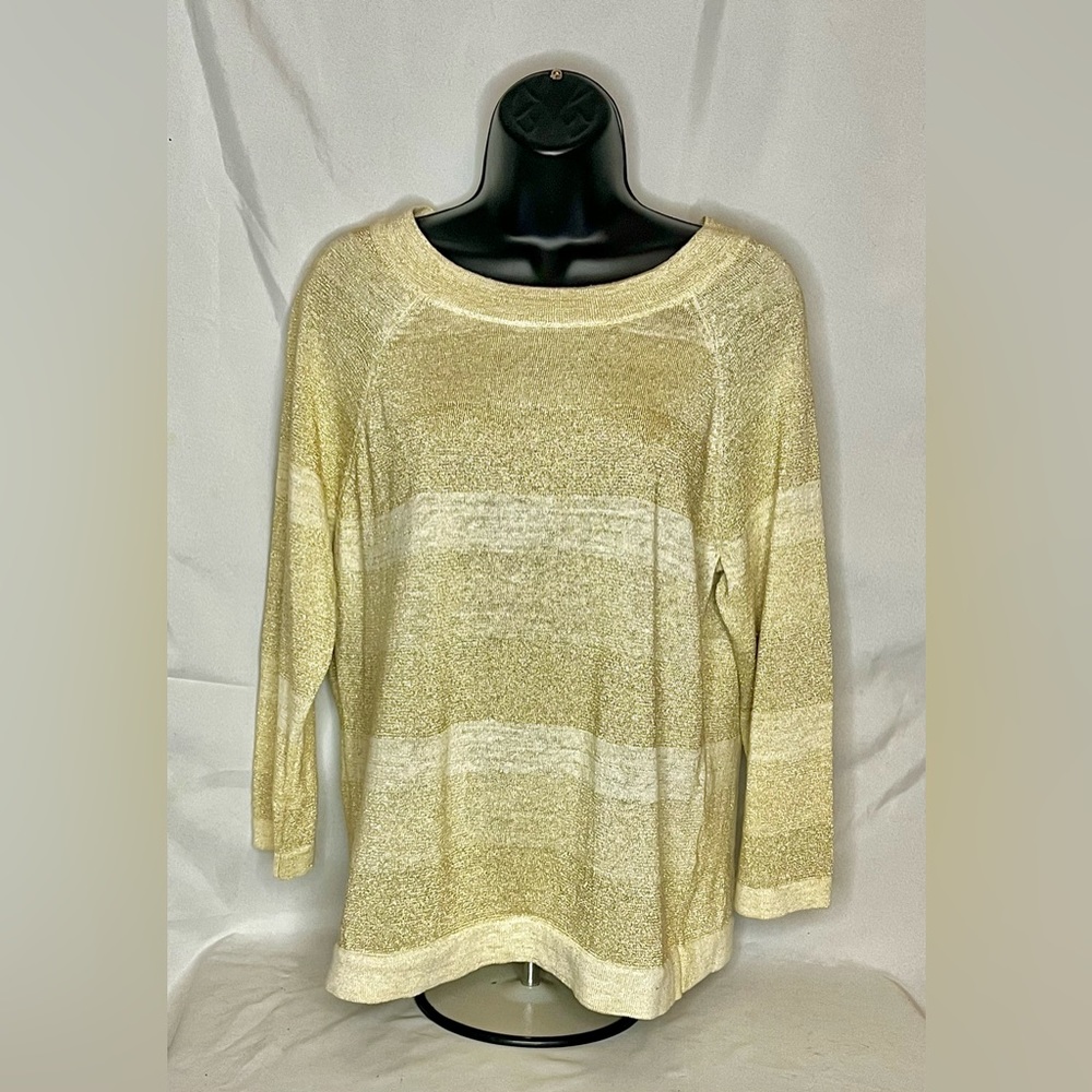 Women’s Petite XL sweater BNWOT